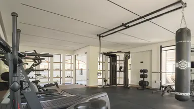 Theartemis Palace