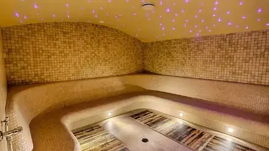 Thermia Palace Ensana Health Spa