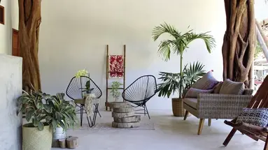 Tierra Mia