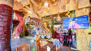 Tiger Complex