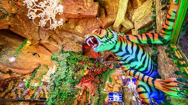 Tiger Complex