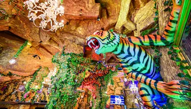 Tiger Complex
