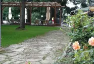 Tintyava