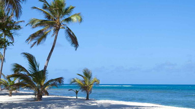 Tiwi Beach