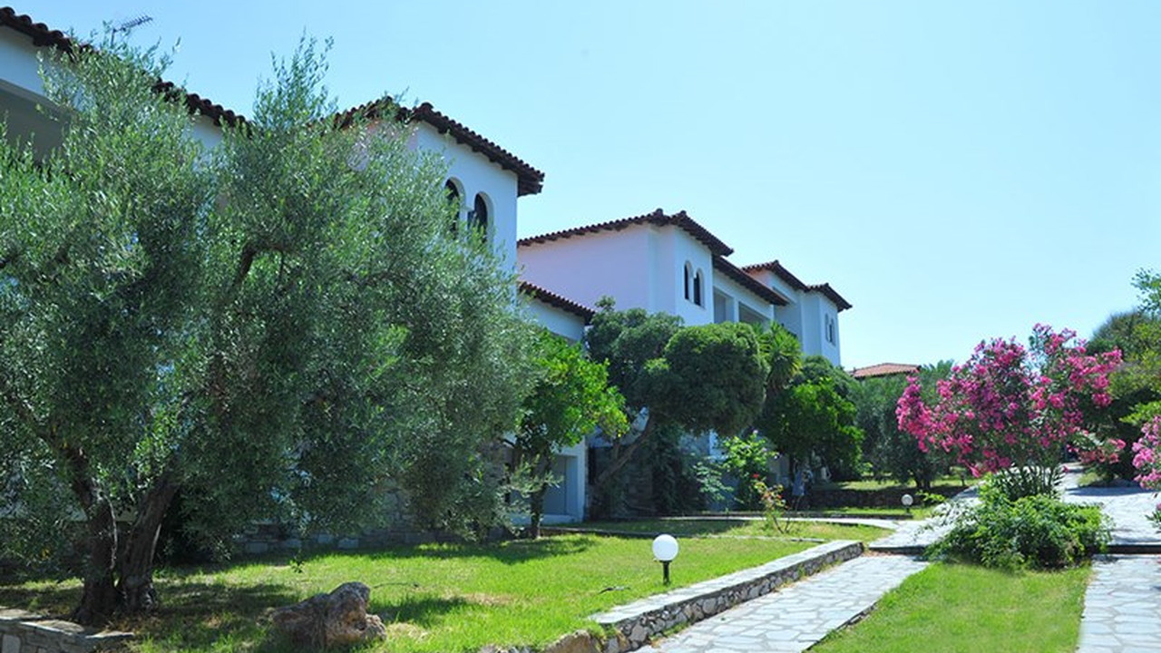 Toroneos