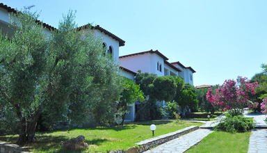 Toroneos