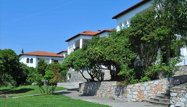 Toroneos