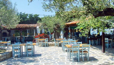 Toroneos