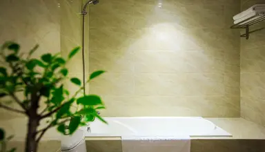 Tran Vien Dong