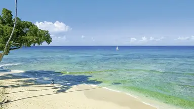 Treasure Beach