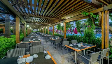 Trendy Palm Beach