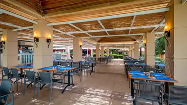 Trendy Palm Beach