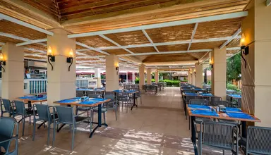Trendy Palm Beach