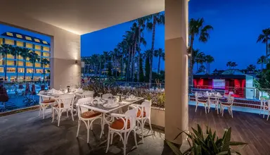 Trendy Palm Beach