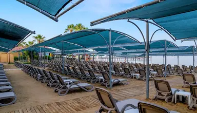 Trendy Palm Beach