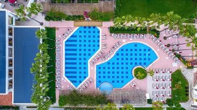 Trendy Palm Beach