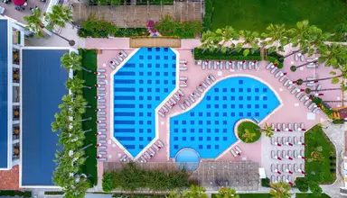 Trendy Palm Beach
