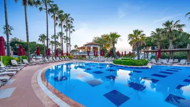 Trendy Palm Beach