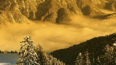 Trieste (Tarvisio)