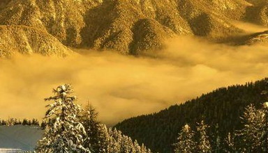 Trieste (Tarvisio)