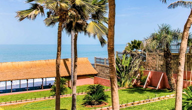 Tropic Garden