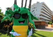 Tropic Park