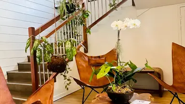 Tropic Residence Apartments
