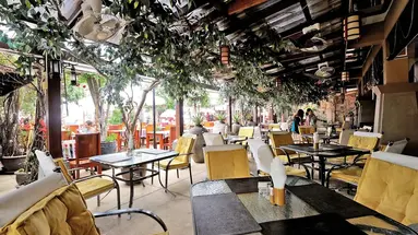 Tropica Bungalow