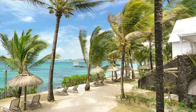 Tropical Attitude