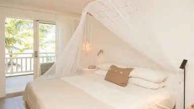 Tropical Attitude