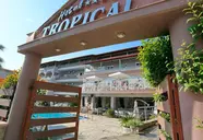 Tropical (Chaniotis)