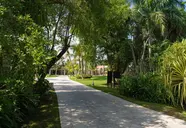 Tropical Deluxe Princess