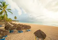 Tropical Deluxe Princess