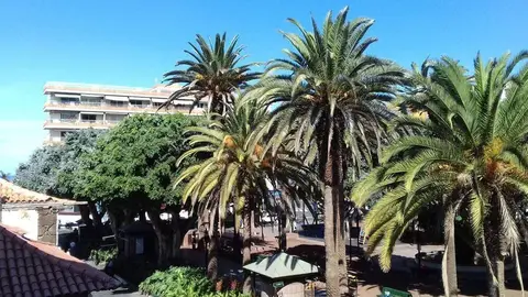 Puerto de la Cruz