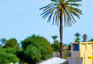 Tropicana (Monastir)