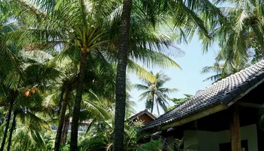Tropicana Resort
