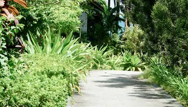 Tropicana Resort