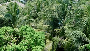Tropicana Resort