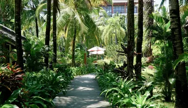Tropicana Resort