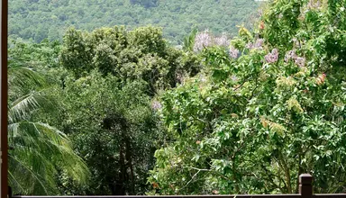 Tropicana Resort
