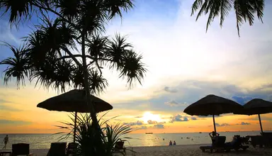 Tropicana Resort