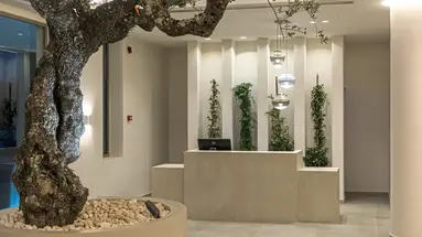 Tsamis Zante Suites