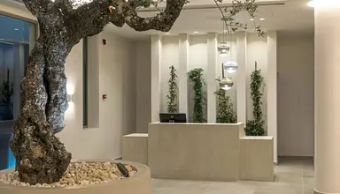 Tsamis Zante Suites