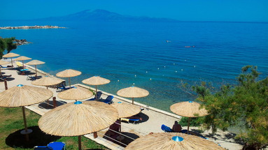 Tsamis Zante