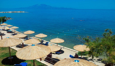 Tsamis Zante