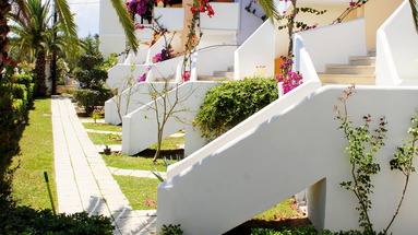 Tsamis Zante