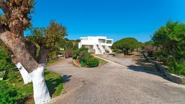 Tselios Apartments & Studios