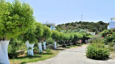 Tselios Apartments & Studios