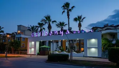 Tu Casa Gelidonya 