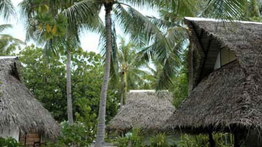 Tuanake Rangiroa